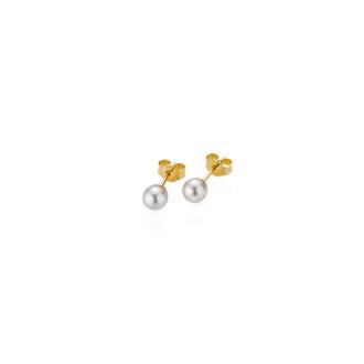 Basics Ohrstecker