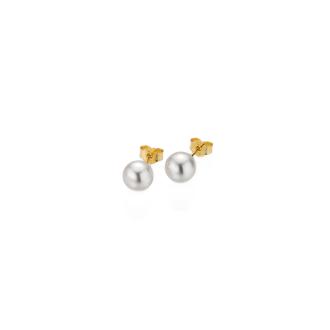 BASICS Ohrstecker