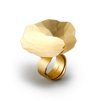 Ring Topia