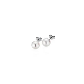 BASICS Ohrstecker 