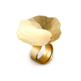 Ring Topia