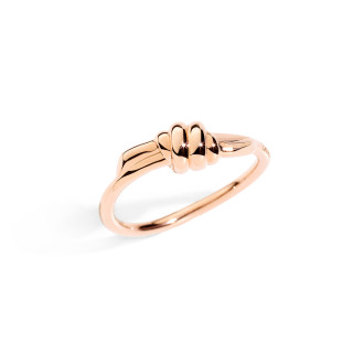 Ring Nodo