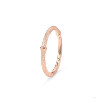 Nature Ring 1