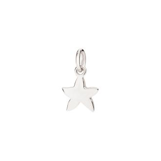  Anhänger Stellina