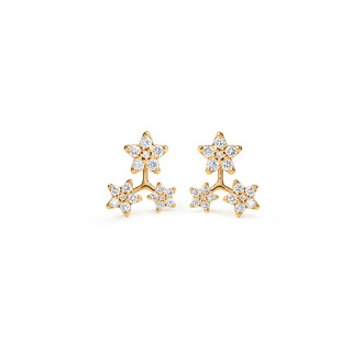 Shooting Stars Ohrstecker