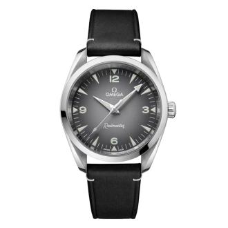 Seamaster Railmaster