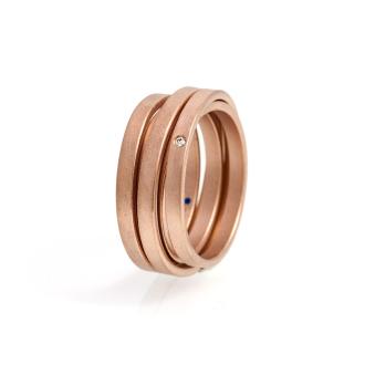 Ring Saturn