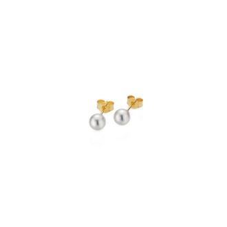 BASICS Ohrstecker