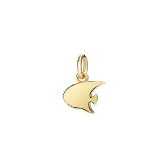 Anhänger Engelsfisch