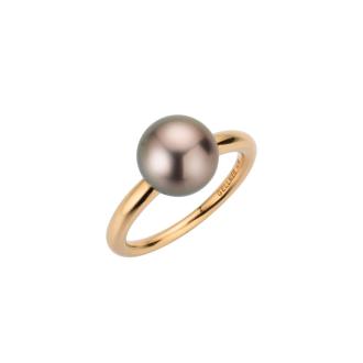MODERN CLASSICS Ring