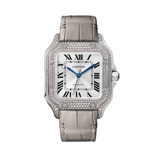 Cartier - Santos de Cartier