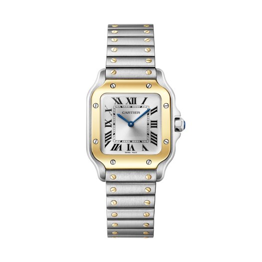 Cartier - Santos de Cartier