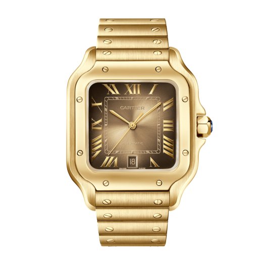 Cartier - Santos de Cartier