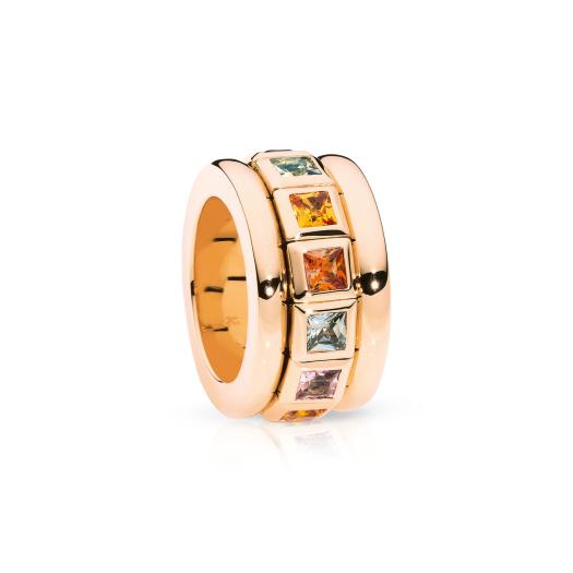 Tamara Comolli - CURRICULUM VITAE Ring INDIAN Summer