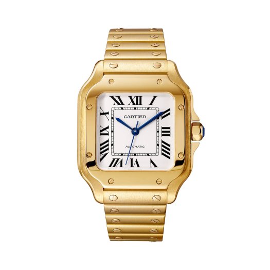 Cartier - Santos de Cartier