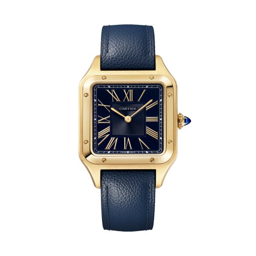Cartier - Santos de Cartier