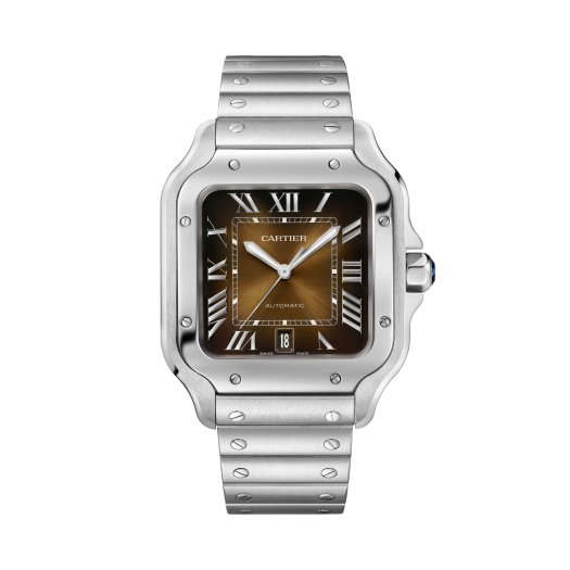 Cartier - Santos de Cartier
