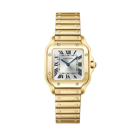 Cartier - Santos de Cartier