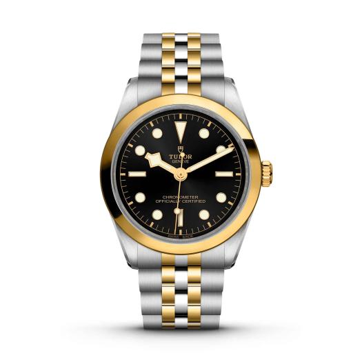 TUDOR - Black Bay 36 S&G