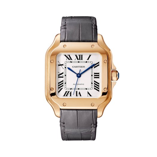 Cartier - Santos de Cartier