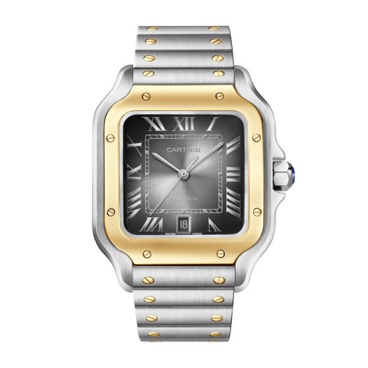 Cartier - Santos de Cartier
