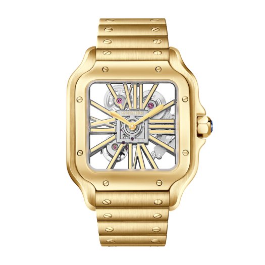 Cartier - Santos de Cartier
