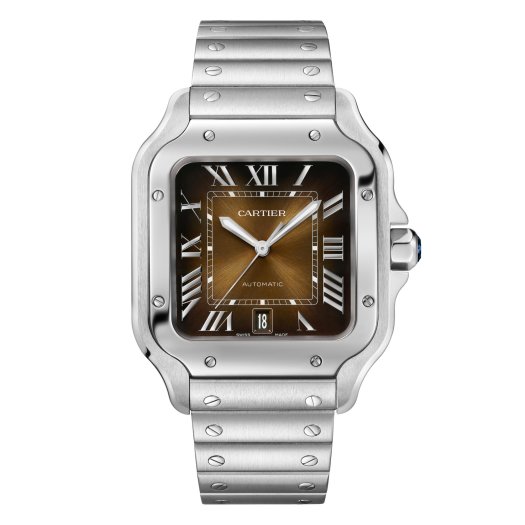 Cartier - Santos de Cartier