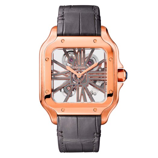 Cartier - Santos de Cartier