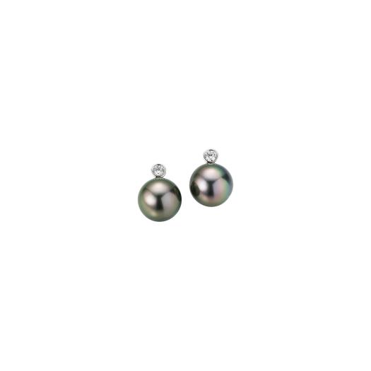 Gellner - H2O Ohrstecker