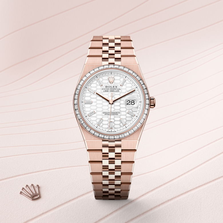 Rolex Land-Dweller 36 127285TBR Herrenuhr Bild 2