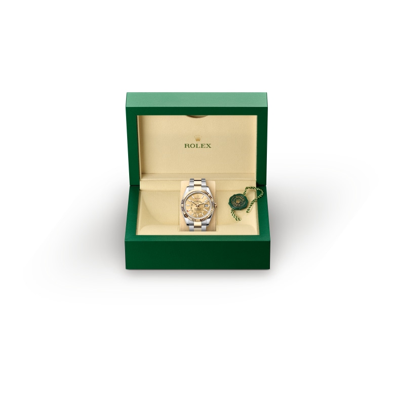 Rolex Sky-Dweller 336933 Herrenuhr Bild 3