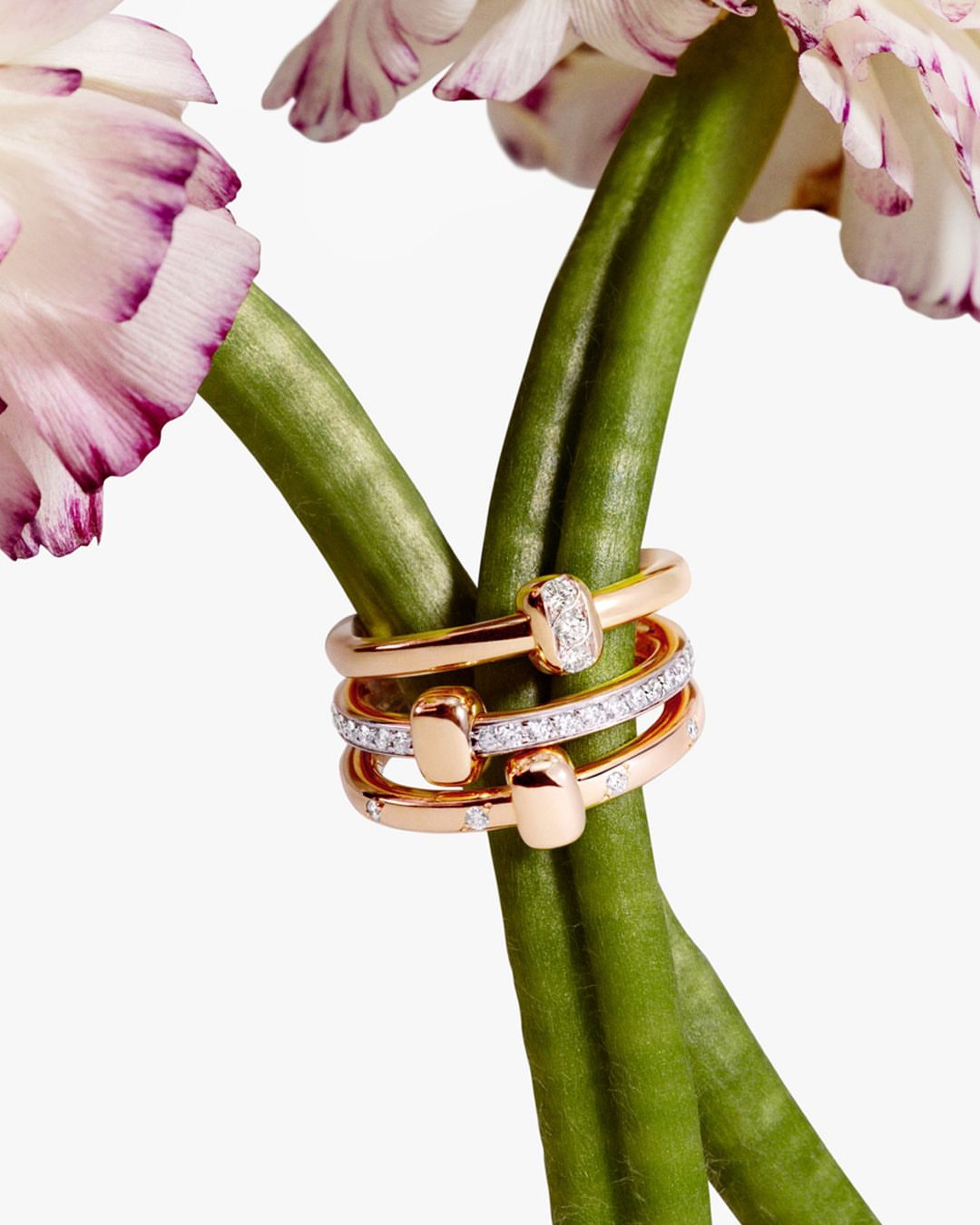 @juwelierlauferminden 25.01.2026