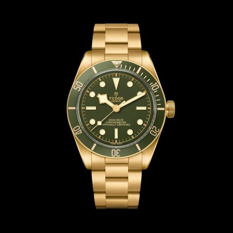 M79018V-0006_green_full_single_FF_RVB_black