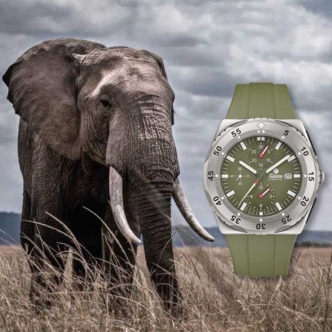 Laufer_Event_Tutima_2026_WEB