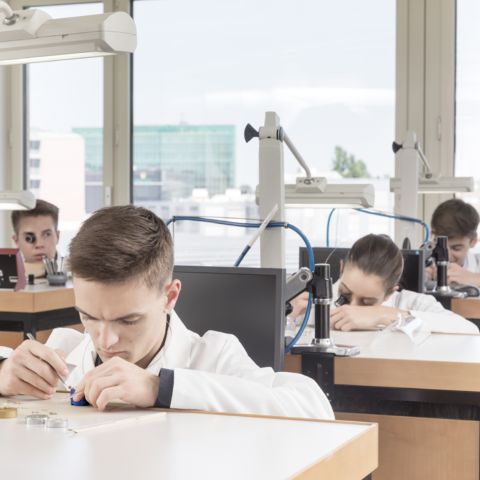 checkerboard_component_04