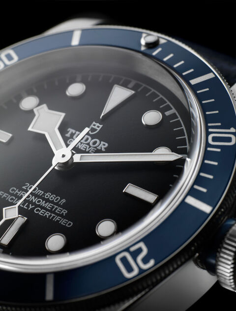 tudor_560
