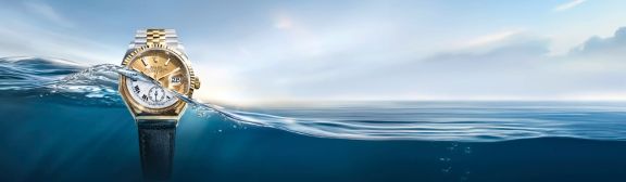 M126233-0015_First_Oyster_octagonal_1926_2604_0001_V3_eciRGB_1920x560